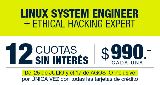 12 cuotas mensuales de $990.- (argentinos)