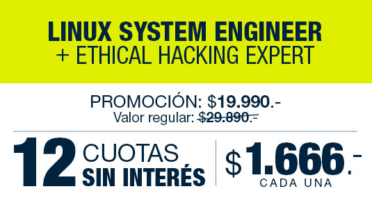 12 cuotas mensuales de $1.666.- (argentinos)