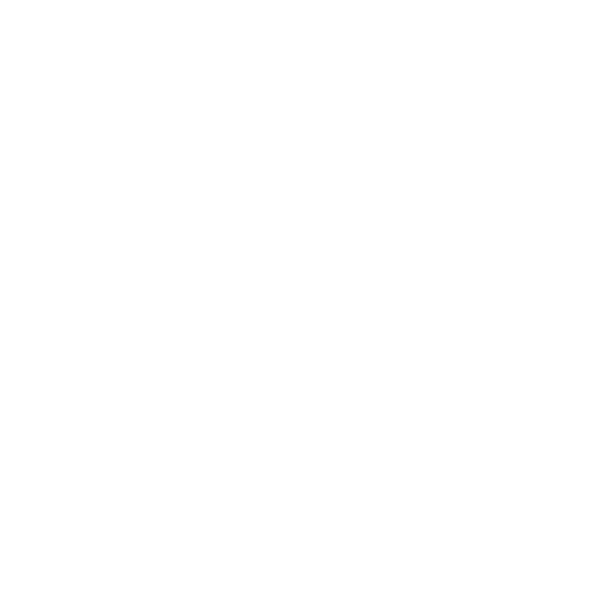 28 años de experiencia