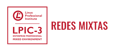 Redes Mixtas (Examen 300)